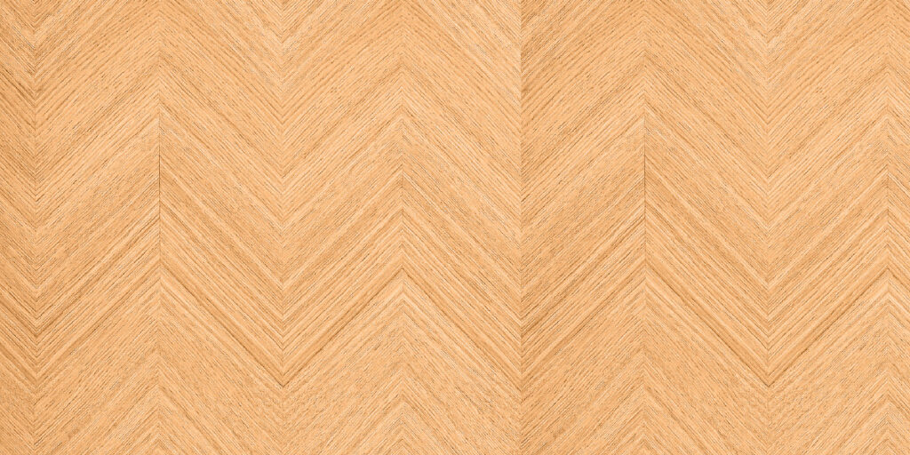 ENCINA EUROPEA ESPIGA